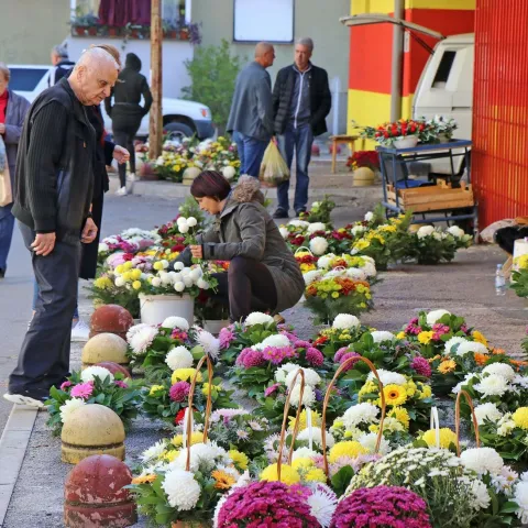 Svi sveti i Dušni dan: Cijene cvijeća se nisu promijenile