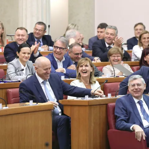 08.07.2022., Zagreb - Jedan od najzescih protivnika ministra Berosa, Nikola Grmoja, greskom je uz smijeh HDZ-ovaca, glasovao protiv opoziva. Sabor tjedni rad zavrsava glasovanjem o raspravljenim tockama dnevnog reda. Prvo izaglasana tocka bila je odbijanje zahtjeva ne opozivom ministr Berosa. Photo: Patrik Macek/PIXSELL