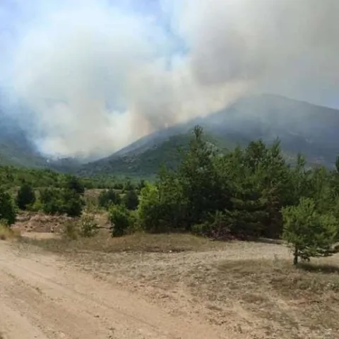 Požar na Kamešnici