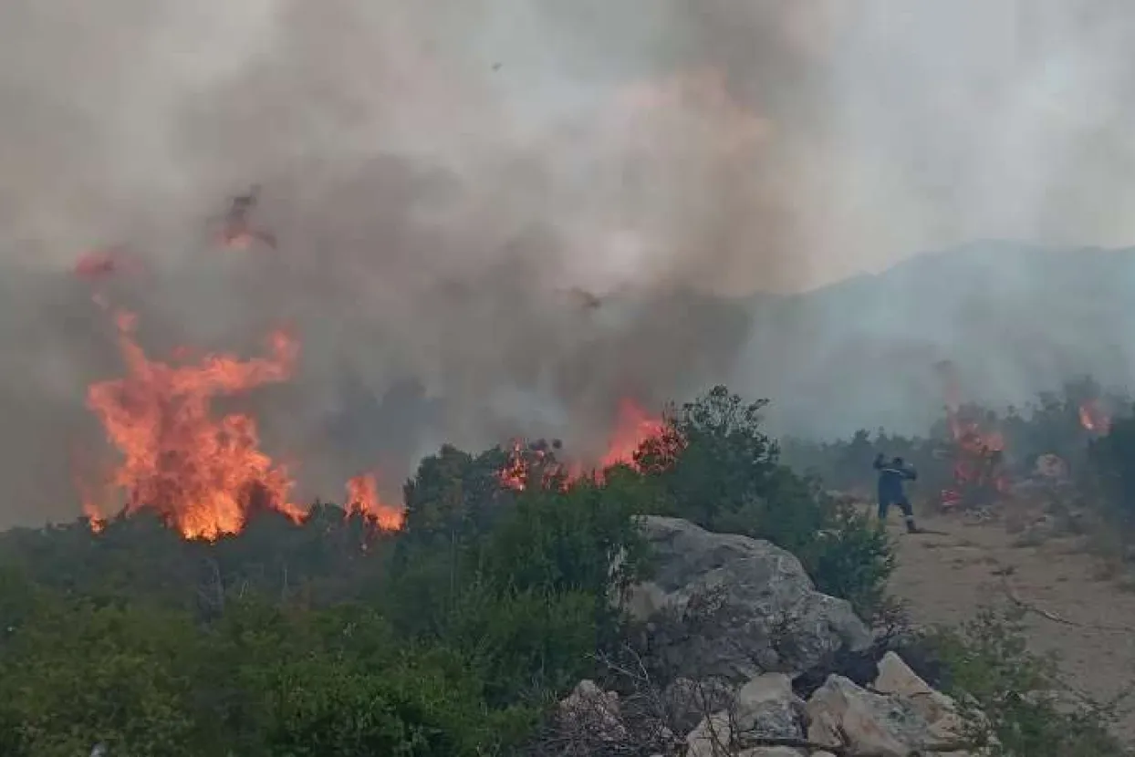 Požar u selu Prapratnica kod Neuma prijeti kućama