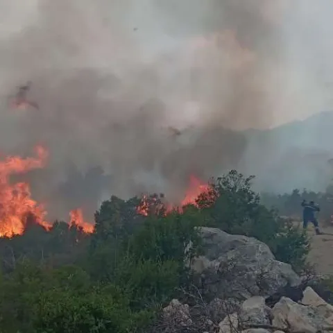 Požar u selu Prapratnica kod Neuma prijeti kućama