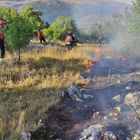 Požar u Neumu širi se prema naseljenim mjestima: Na raspolaganju samo jedan helikopter koji gasi požare u Konjicu