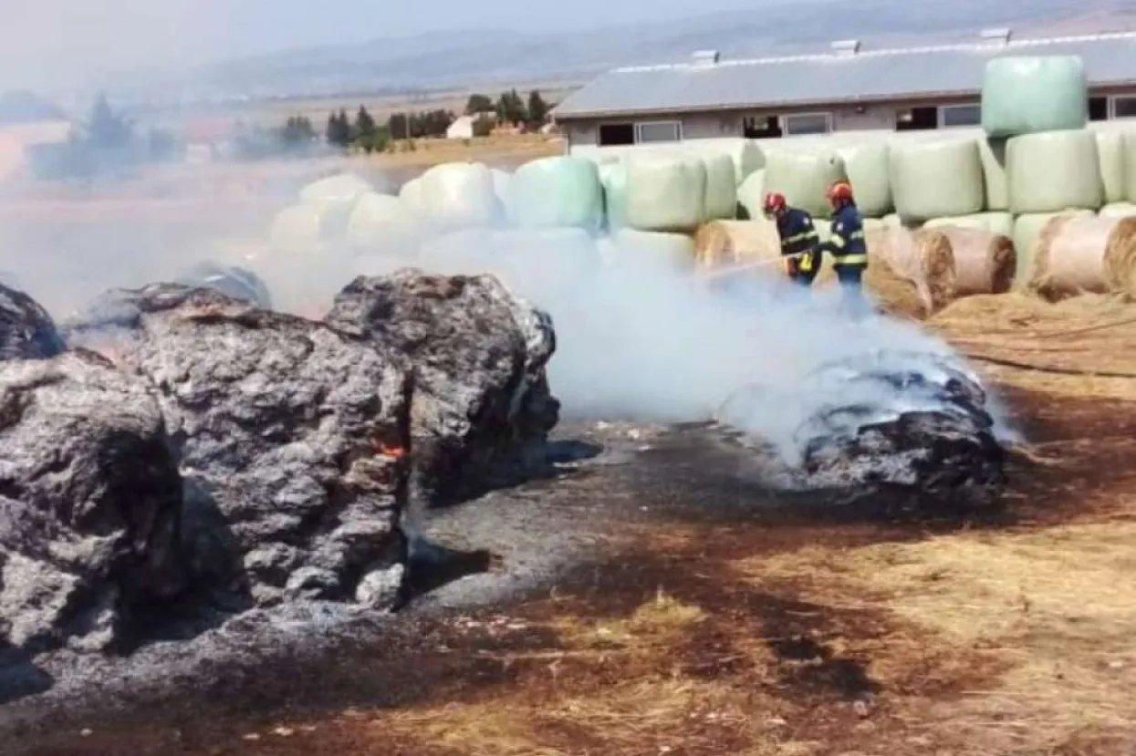 Požar izbio na farmi krava u Tomislavgradu, brzom intervencijom duvanjskih vatrogasaca spašena štala