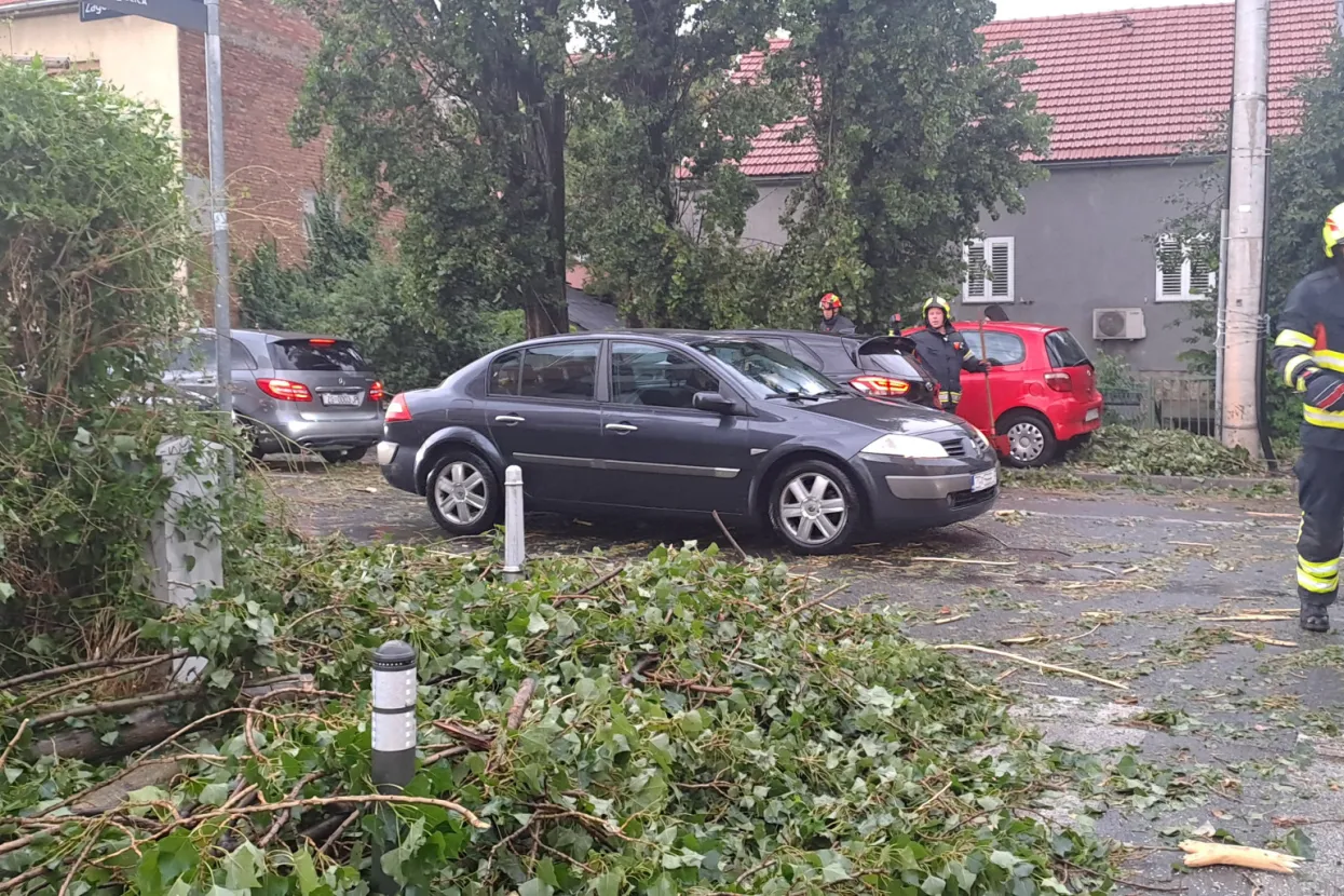 Zagreb, 19.7.2023.- Olujno nevrijeme u Zagrebu. Na slici srušeno stablo u Zagorskoj ulici. <br>