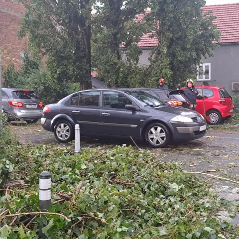 Zagreb, 19.7.2023.- Olujno nevrijeme u Zagrebu. Na slici srušeno stablo u Zagorskoj ulici. <br>