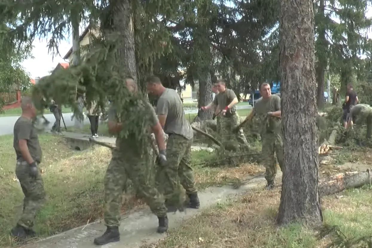 Hrvatska vojska u Slavoniji