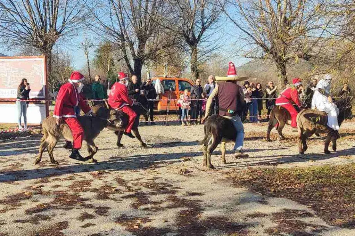 U Čapljini održana "Utrka magaraca"