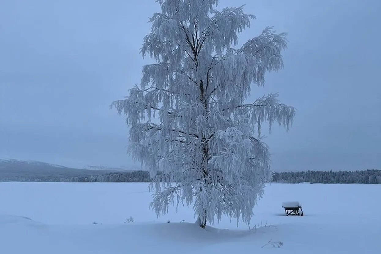 Hladnoće u Finskoj