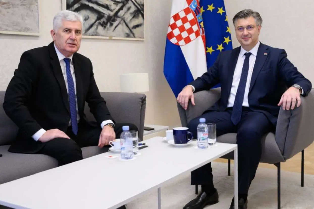 Čović i Plenković