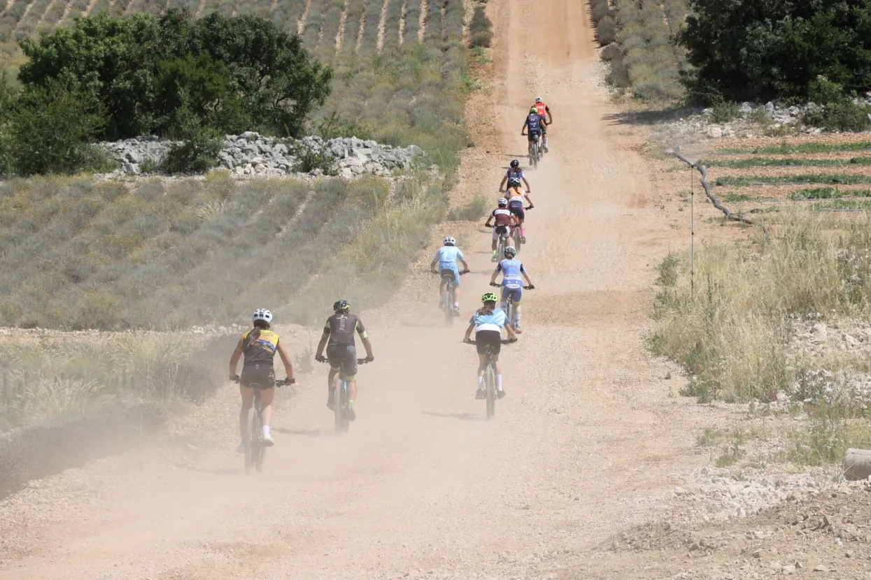 ČAPLJINA, 16. lipnja (FENA) - Biciklistička MTB utrka "XCM NARENTAS 2024", u okviru koje se održava i kolo premijer lige BiH, te kup Republike Hrvatske (RH), počela je u nedjelju na brdu hercegovačkog krša "Narentas" u Gabela Polju kod Čapljine.(Foto FENA/Mario Obrdalj)