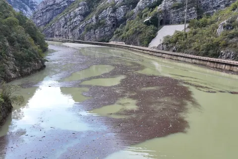 Tone smeća u Neretvi