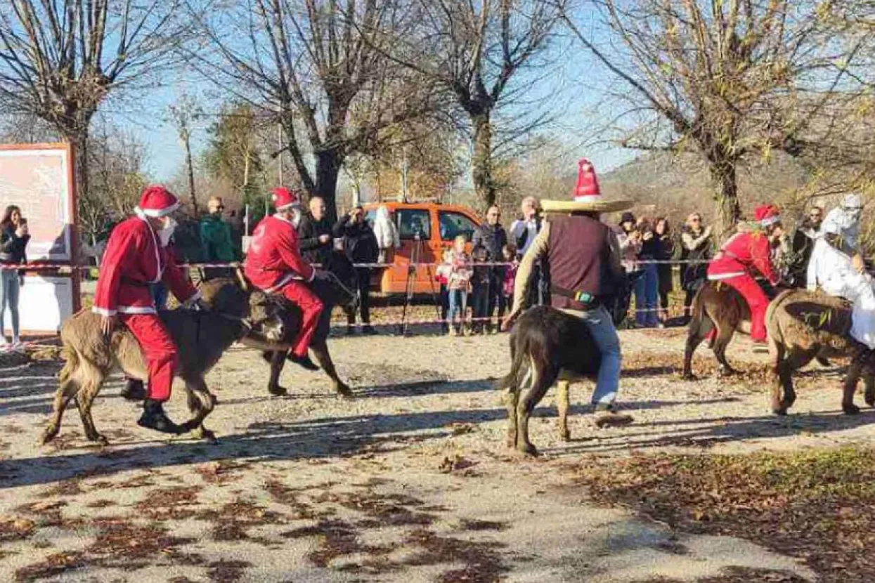 Utrka magaraca u Čapljini