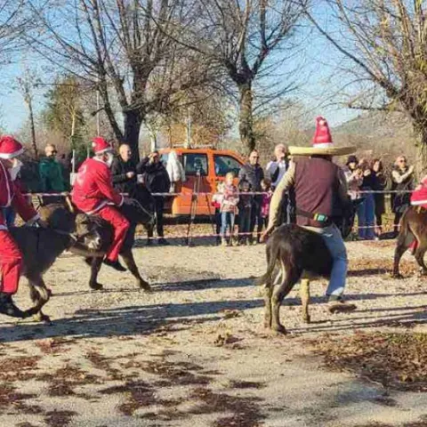 Utrka magaraca u Čapljini